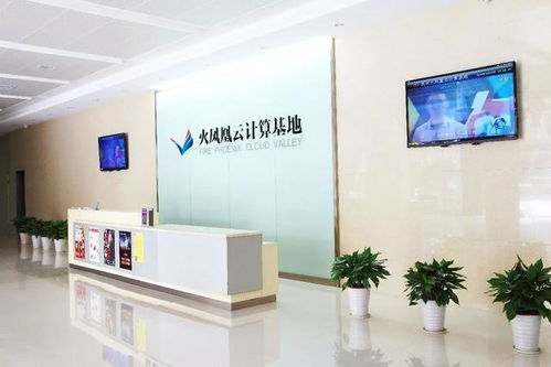 90后創(chuàng)業(yè)獲百萬天使投,年輕是優(yōu)勢,也是劣勢